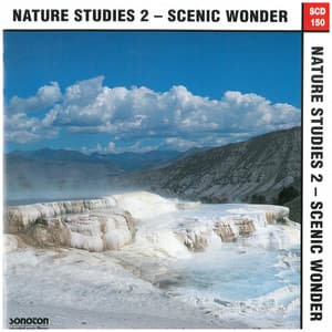 Nature Studies, Vol. 2: Scenic Wonder - Gregor F. Narholz