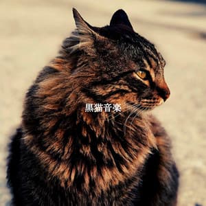 黒猫音楽 - Musica para Dormir Jazz