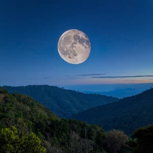 Noches De Calma: Música Para Un Descanso Profundo - Descansar Musica