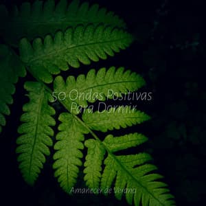 50 Ondas Positivas Para Dormir - Meditación Maestro