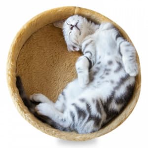 Deep Relaxing Sleep - Deep Relaxing Sleep