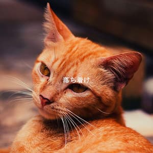 落ち着け - Soft Jazz Playlist