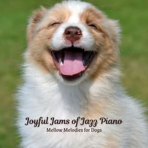 Joyful Jams of Jazz Piano: Mellow Melodies for Dogs - Coffee House Jazz Playlist