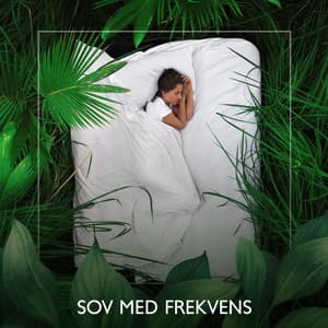 Sov med Frekvens: Botemedel mot sömnlöshet, Stresslindring, Programmera om ditt sinne, Radera negativa tankar, Läka ditt nervsystem - Lugn Musik Atmosfär