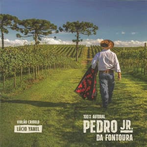 100% Autoral Pedro Jr da Fontoura - Pedro Júnior da Fontoura
