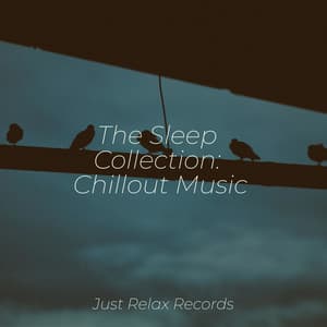 The Sleep Collection: Chillout Music - Musica para Bebes
