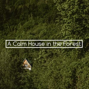 A Calm House in the Forest - Tranquility Spree