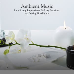 Ambient Music for a Strong Emphasis on Evoking Emotions and Setting Good Mood - Ambient