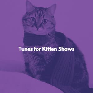 Tunes for Kitten Shows - Calm Classic Jazz