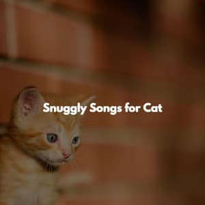 Snuggly Songs for Cat - Israel Goldberg Quintet