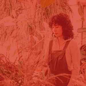 Contemporary Music for Taking Notes - No Drums Jazz - Coffee House Classics