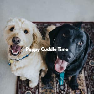 Puppy Cuddle Time - Alegre Música para Tiendas Minoristas