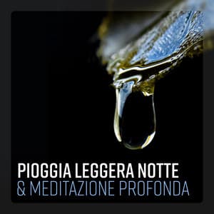 Pioggia leggera notte & Meditazione profonda - Concentrati sul sonno, Consapevolezza interiore, Rilassamento - Musica tranquilla accademia