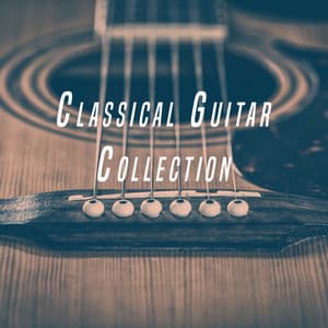 Classical Guitar Collection - Afternoon Acoustic