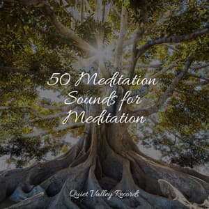 50 Meditation Sounds for Meditation - Academia de Relaxamento e Meditação