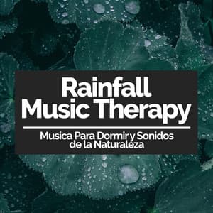Rainfall Music Therapy - Musica Para Dormir y Sonidos de la Naturaleza