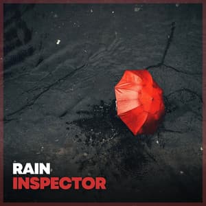Rain Inspector - Always Raining