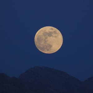 Dream Sounds: Relaxing Music for Restful Evenings - Uplifting Melodies