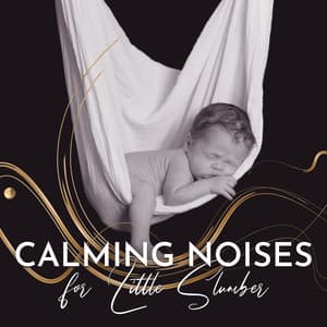 Calming Noises for Little Slumber: Music Perfect for Baby Problems with Sleep - Better Sleep Oasis