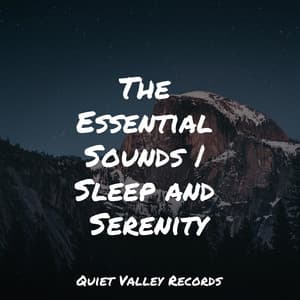 The Essential Sounds | Sleep and Serenity - Rain Shower Spa