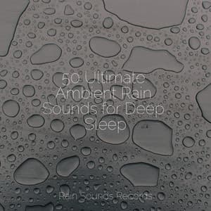 50 Ultimate Ambient Rain Sounds for Deep Sleep - Calming Waves