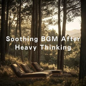 Soothing BGM After Heavy Thinking - Dream House