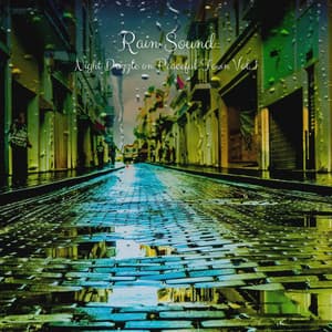 Rain Sound: Night Drizzle on Peaceful Town Vol. 1 - Rain Sounds ACE