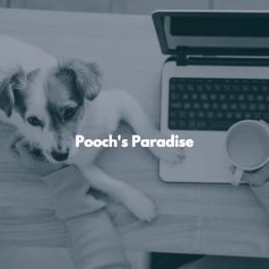 Pooch's Paradise - Good Morning Music