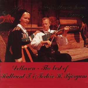 Dolkaren - Torleiv H. Bjørgum