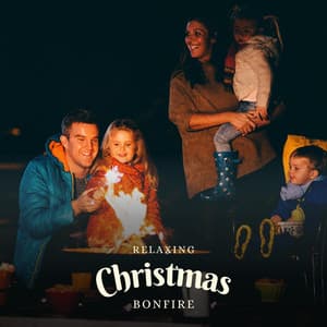 Relaxing Christmas Bonfire - Fire Sounds