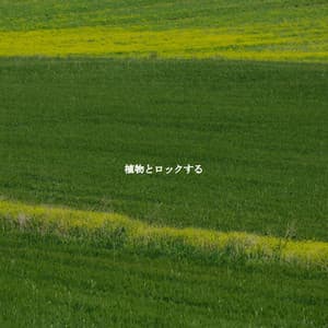 植物とロックする - Chill Jazz