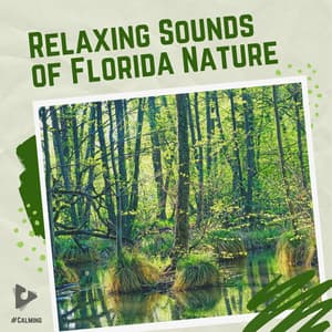 Relaxing Sounds of Florida Nature - #Calming