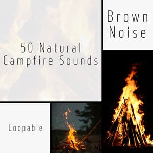 50 Natural Campfire Sounds , Loopable - Life Sounds Nature