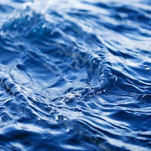 Reflejos Acuáticos: Serenos Paisajes Acuáticos Melódicos Del Océano - El Proyecto Naturaleza