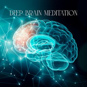 Deep Brain Meditation: Healing Reiki Music, Oriental Music for Mindfulness - Mindfullness Meditation