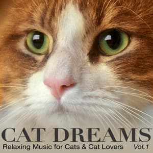 CAT DREAMS - Relaxing Music for Cats & Cat Lovers VoL.1 - PETS LOVE MUSIC