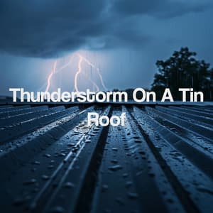 Thunderstorm On A Tin Roof - Thunderstorm Sound Bank