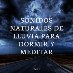 Sonidos Naturales De Lluvia Para Dormir Y Relajarse Vol. 1 - Llovió