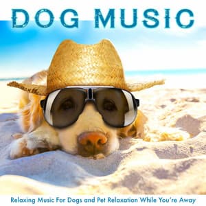 Dog Music: Relaxing Music For Dogs and Pet Relaxation While You’re Away - Dog Music