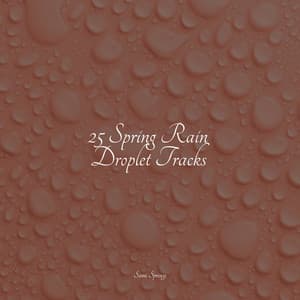 25 Spring Rain Droplet Tracks - Deep Sleep Brown Noise