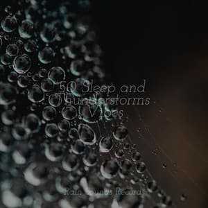 50 Sleep and Thunderstorms Vibes - MEDITATION SPA