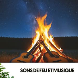 Sons de Feu et Musique : Mélodies Ardentes sous les Étoiles - Cat Music Therapy