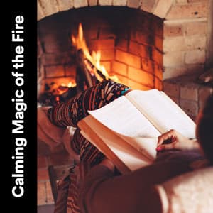 Calming Magic of the Fire - Fireplace FX Studio