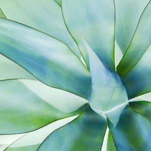 Music for Summertime Springs - Chill Out - Happy Instrumental Music