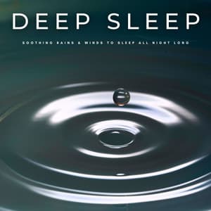 Deep Sleep: Soothing Rains & Winds To Sleep All Night Long - Sleep Music Bliss