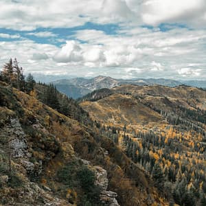 365 Nature Minded: Healing Worlds - Nature Sound Collection