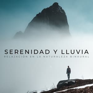 Serenidad Y Lluvia: Relajación En La Naturaleza Binaural - Efectos especiales de sonidos de lluvia