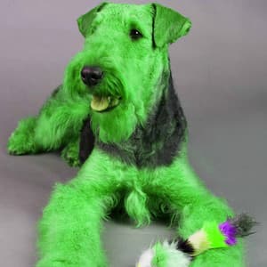 Cheerful Ambiance for Doggy Afternoon Rest - Relaxing Music for Dogs