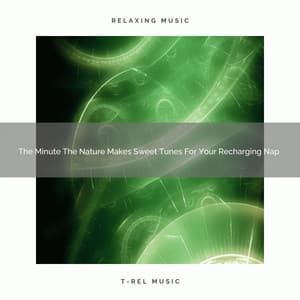 The Minute The Nature Makes Sweet Tunes For Your Recharging Nap - ASMR Insomnia Aid & Sounds for Sleep