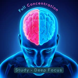 Full Concentration - Study – Deep Focus
